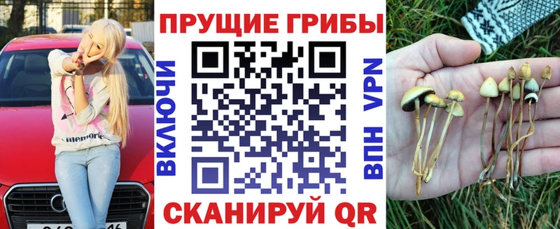 Псилоцибиновые грибы GOLDEN TEACHER  Купить где  Россошь 